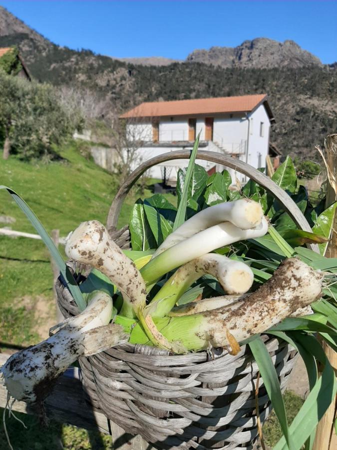 Agriturismo Grilla Villa เมเล ภายนอก รูปภาพ